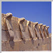 Cobra frieze at Djoser complex.